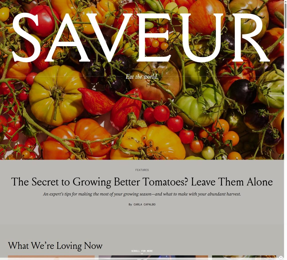 Saveur homepage